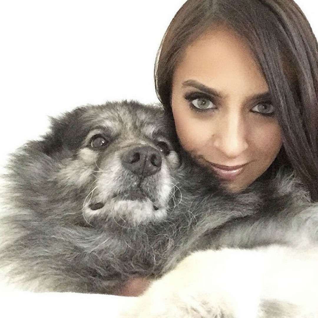 Blogger Sarah Lindner of The House of Sequins A love letter to bear the keeshond