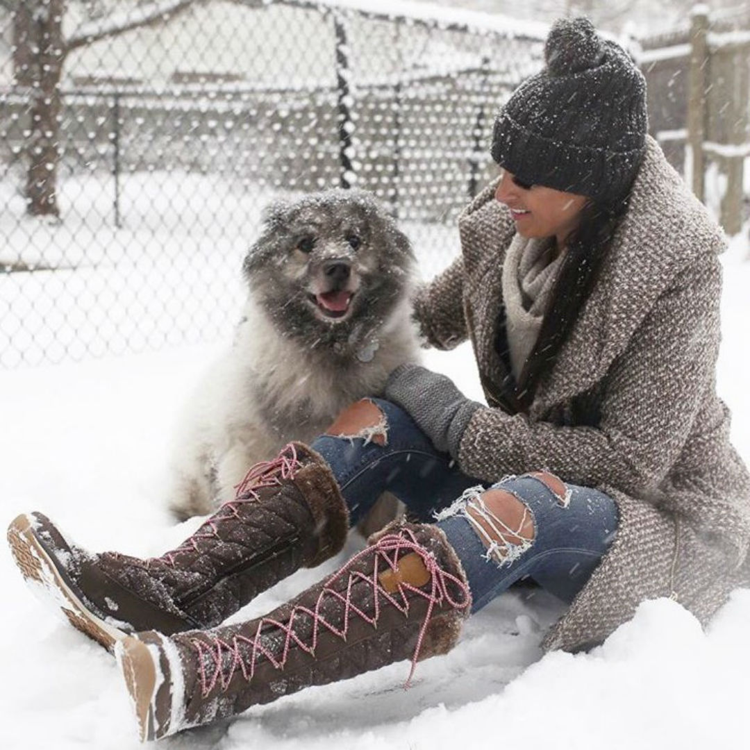 Blogger Sarah Lindner of The House of Sequins A love letter to bear the keeshond