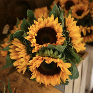 Blogger Sarah Lindner of The House of Sequins on What To Wear Wine Tasting or Flower Picking. Sunflowers