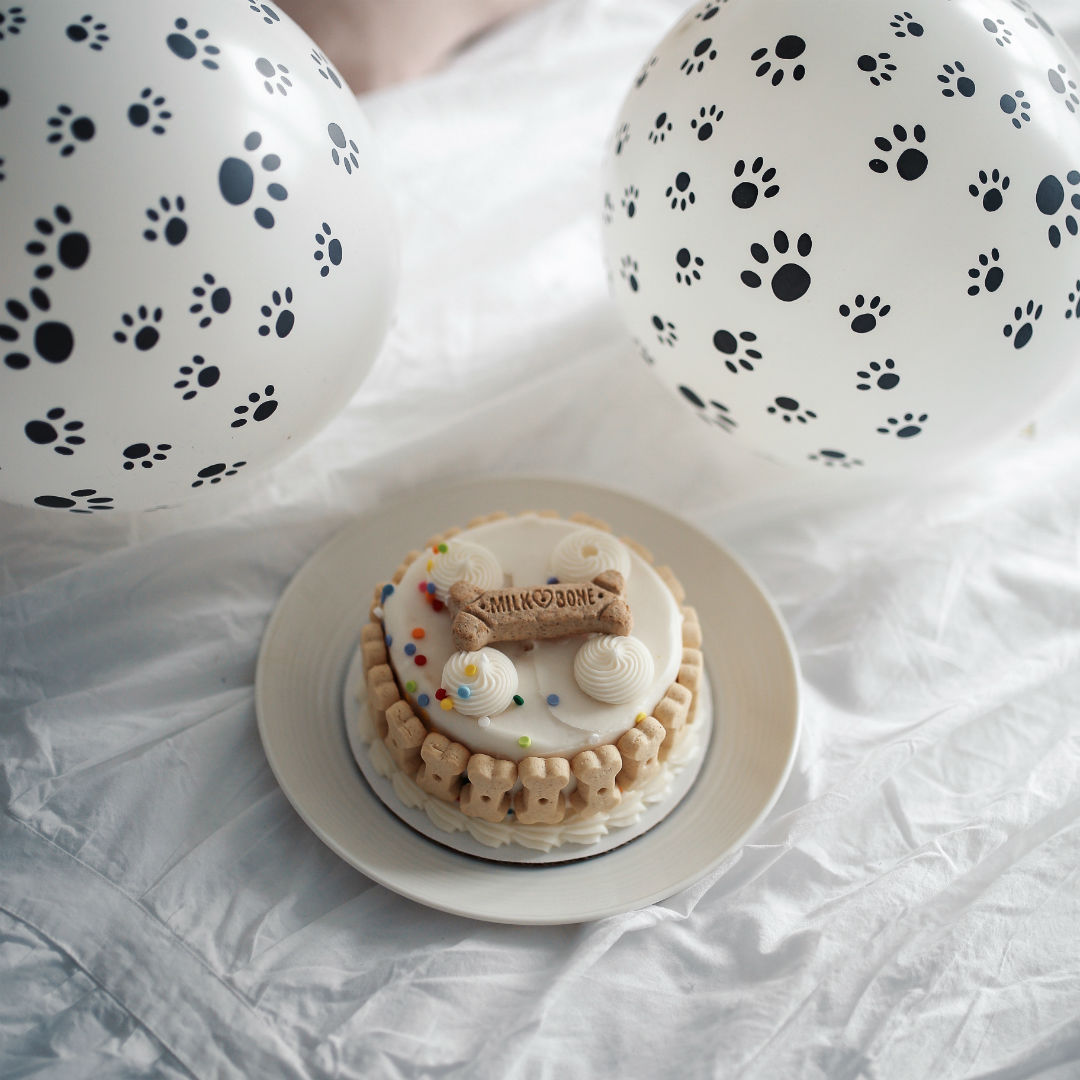 Blogger Sarah Lindner of The House of Sequins baking DIY Doggy Donuts